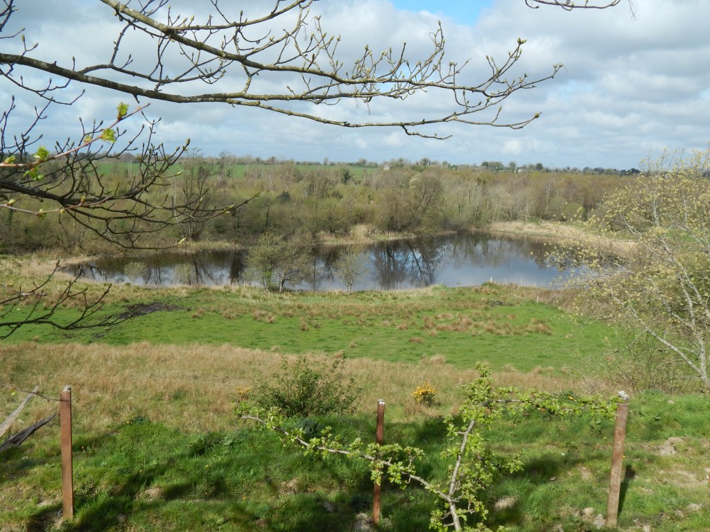 DSCN0475