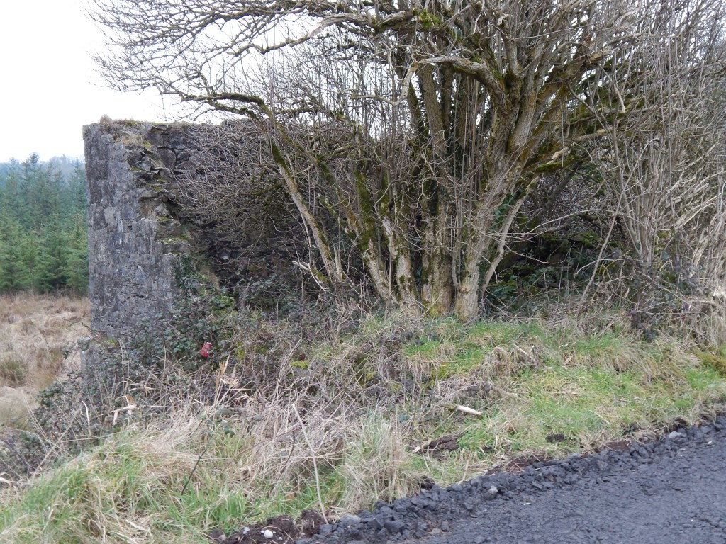 DSCN2322